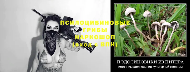 мориарти какой сайт  Городец  Галлюциногенные грибы Psilocybe 